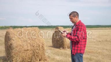 智慧农业理念.. 人类生活方式农民工人在数字平板电脑上的田野上研究干草堆。 慢慢